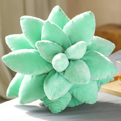 Plush Succulent