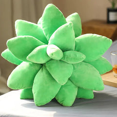 Plush Succulent