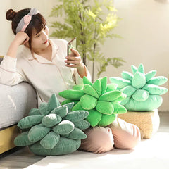 Plush Succulent